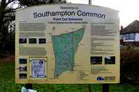 UK-6 The Southampton Common