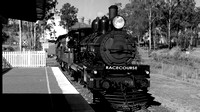 Ipswich Pioneer Steam Loco
