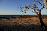 The shore with the tide out, looking towards Fraser Island, Hervey Bay