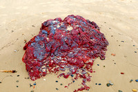 The red rocks of Red Rock beach
