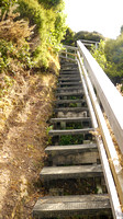 Walking to the top, after climbing through the bush