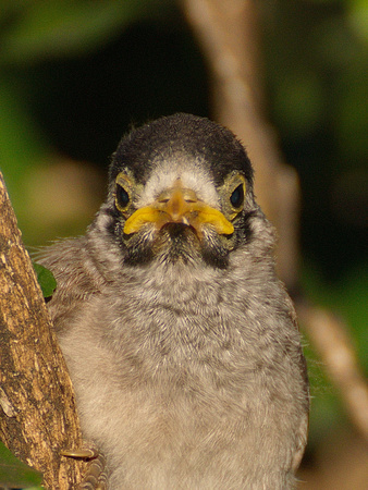 Whaddya mean I am funny looking? Checked a mirror lately??
