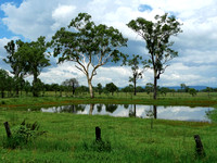 The Waterhole