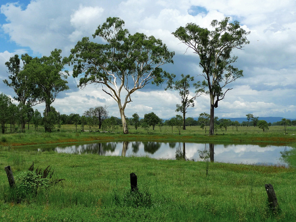 The Waterhole