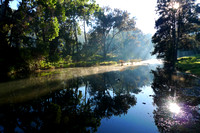 Morning Mist, Goomburra Camping - QLD