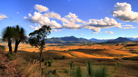 Back Road View - Boonah Area QLD