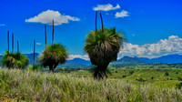 Australian Landscapes