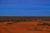The Nullabor Plain