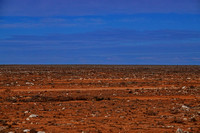 How Wide is the Nullabor?