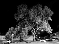 The Broken Hill