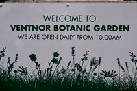 Ventnor Botanic Gardens-photos