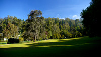 A day in Ooty
