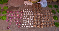 Mysore Retail Markets