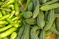 Farmers Markets - Mysore