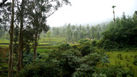 Ooty Toy Train to Coonoor - Coonoor