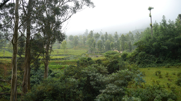 Ooty Toy Train to Coonoor - Coonoor