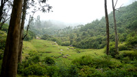 Ooty Toy Train to Coonoor - Coonoor