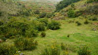 Ooty Toy Train to Coonoor - Coonoor