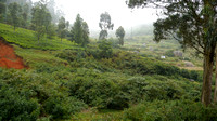 Ooty Toy Train to Coonoor - Coonoor