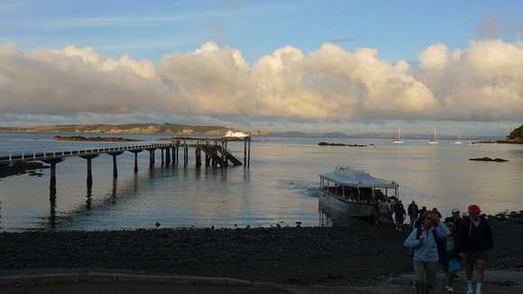 Coming ashore on Tiritiri Matangi