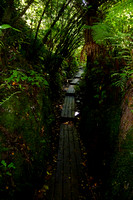 Westport to Nelson by car