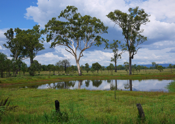 The Waterhole