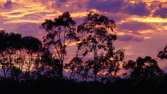 Fire in the Sky SE Qld
