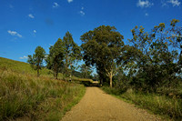 Boonah Back Road 3