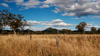 Peak Crossing Pasture - SE QLD