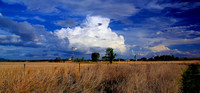 On the road near Coonabarrabran, NSW