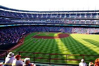 The Ballpark
