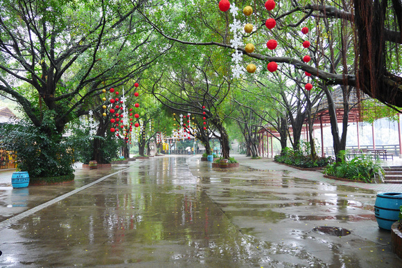 A rainy day in the park
