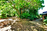The original driveway 2018 Bricks and the Coral Tree, not compatible