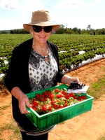 A Day at Luvaberry Strawberry Farms