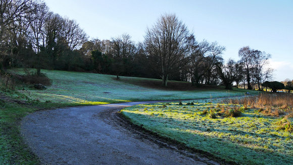 Lots of frost in the shade