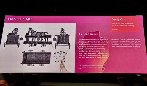 Dandy cart and horse
