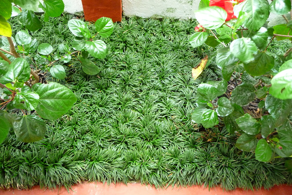 Nimmy Pauls Home Cooking School - Kochi