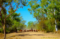 The Drovers, Riversleigh Station, Far North Qld.