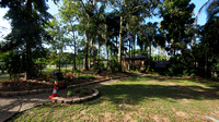 Front lawn, looking south